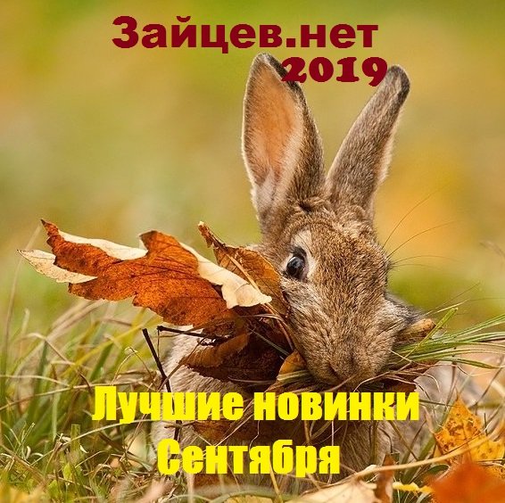 Постер к Зайцев.нет. Лучшие новинки Сентября (2019)