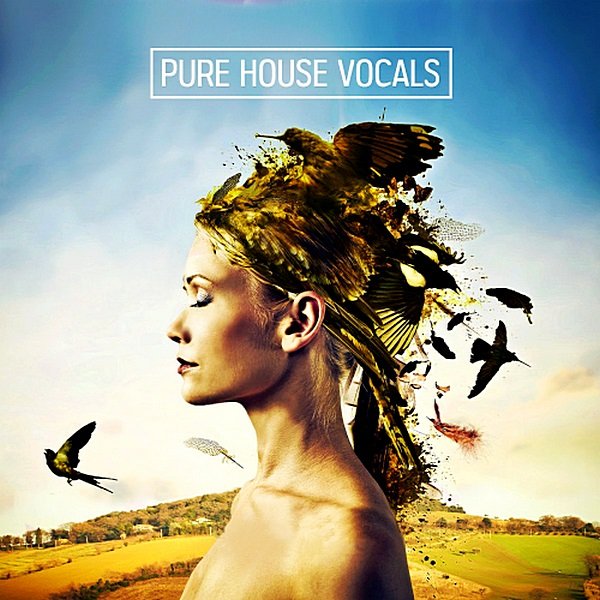 Постер к Pure House Vocal Clouds (2019)