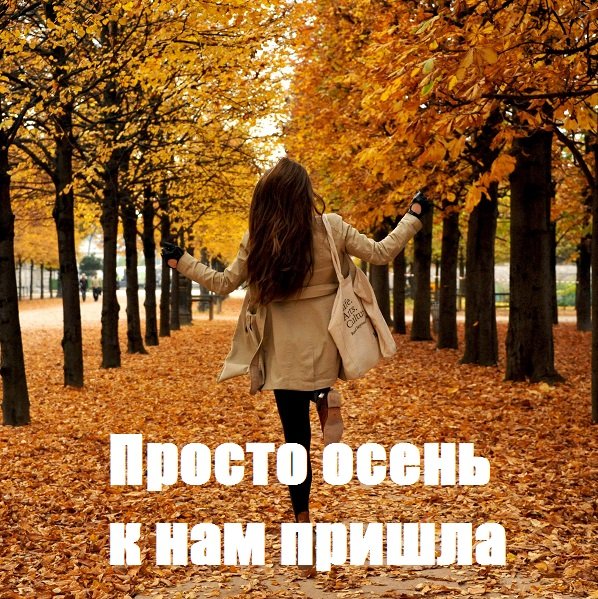 Постер к Просто осень к нам пришла (2019)