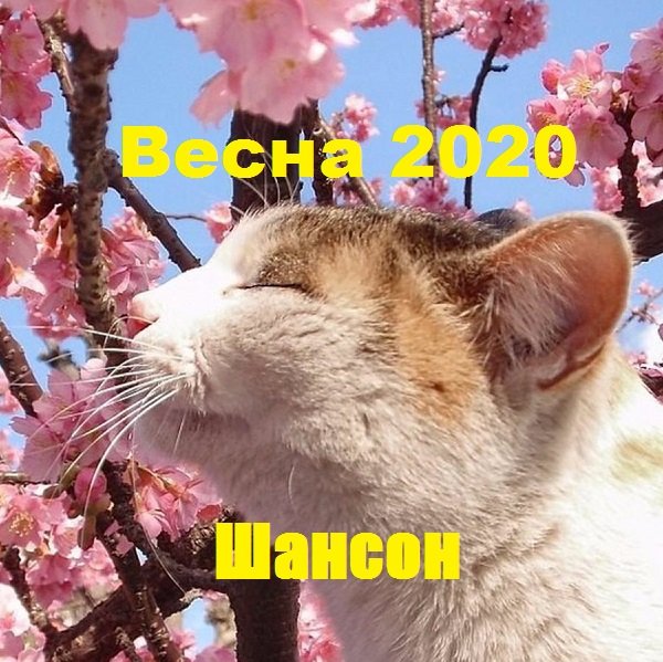 Постер к Весна 2020. Шансон (2020)