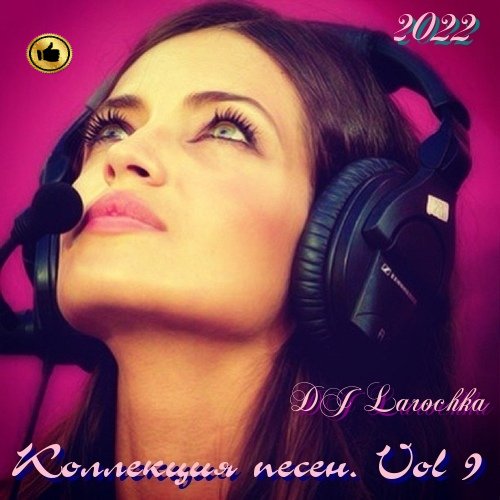 Постер к DJ Larochka. Коллекция песен. Vol 9 (2022)