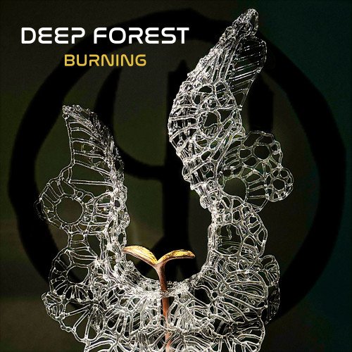 Постер к Deep Forest - Burning (2023)